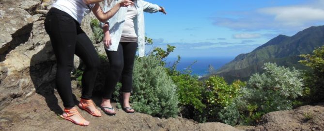 work on the Canary Islands