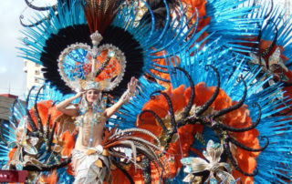 Canary Islands_ Carnival in Santa Cruz