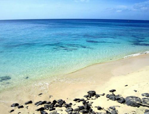 Internship Spain – top 10 on Fuerteventura