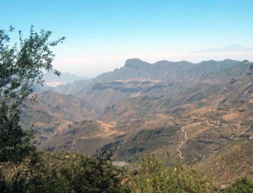 Internship Spain – top 10 of your internship on Gran Canaria
